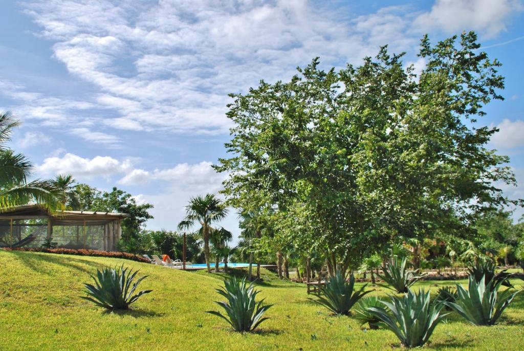 Hotel El Chital Raudales Exterior photo